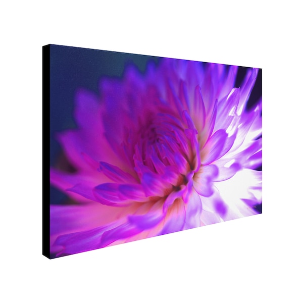 Kathy Yates 'Mod Dahlia' Canvas Art,16x24